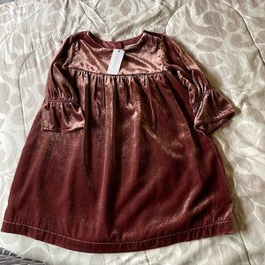 Gymboree Baby Mauve Velvet Dress
